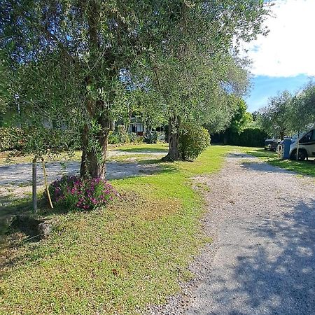 Camping Porto Srl Moniga del Garda Eksteriør billede