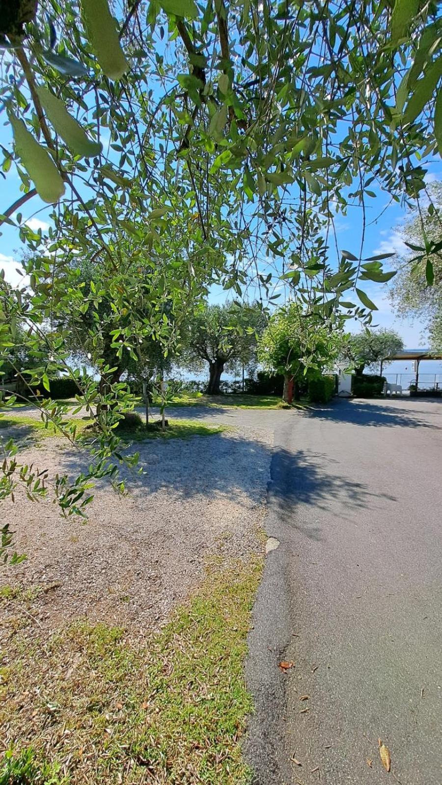 Camping Porto Srl Moniga del Garda Eksteriør billede