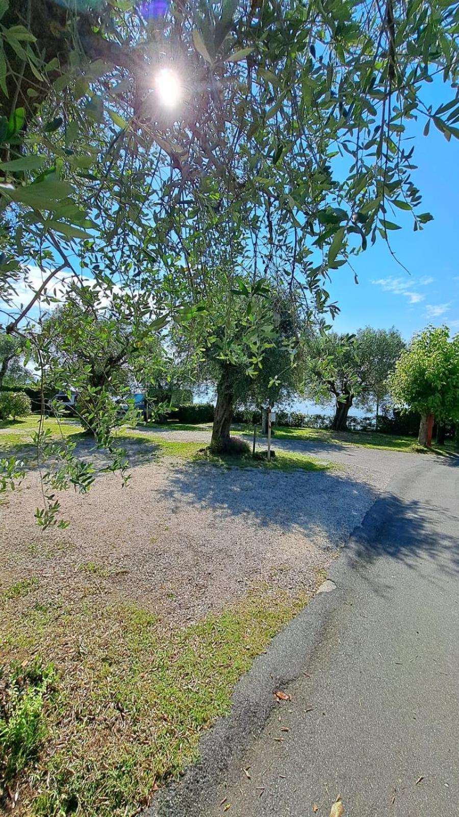 Camping Porto Srl Moniga del Garda Eksteriør billede