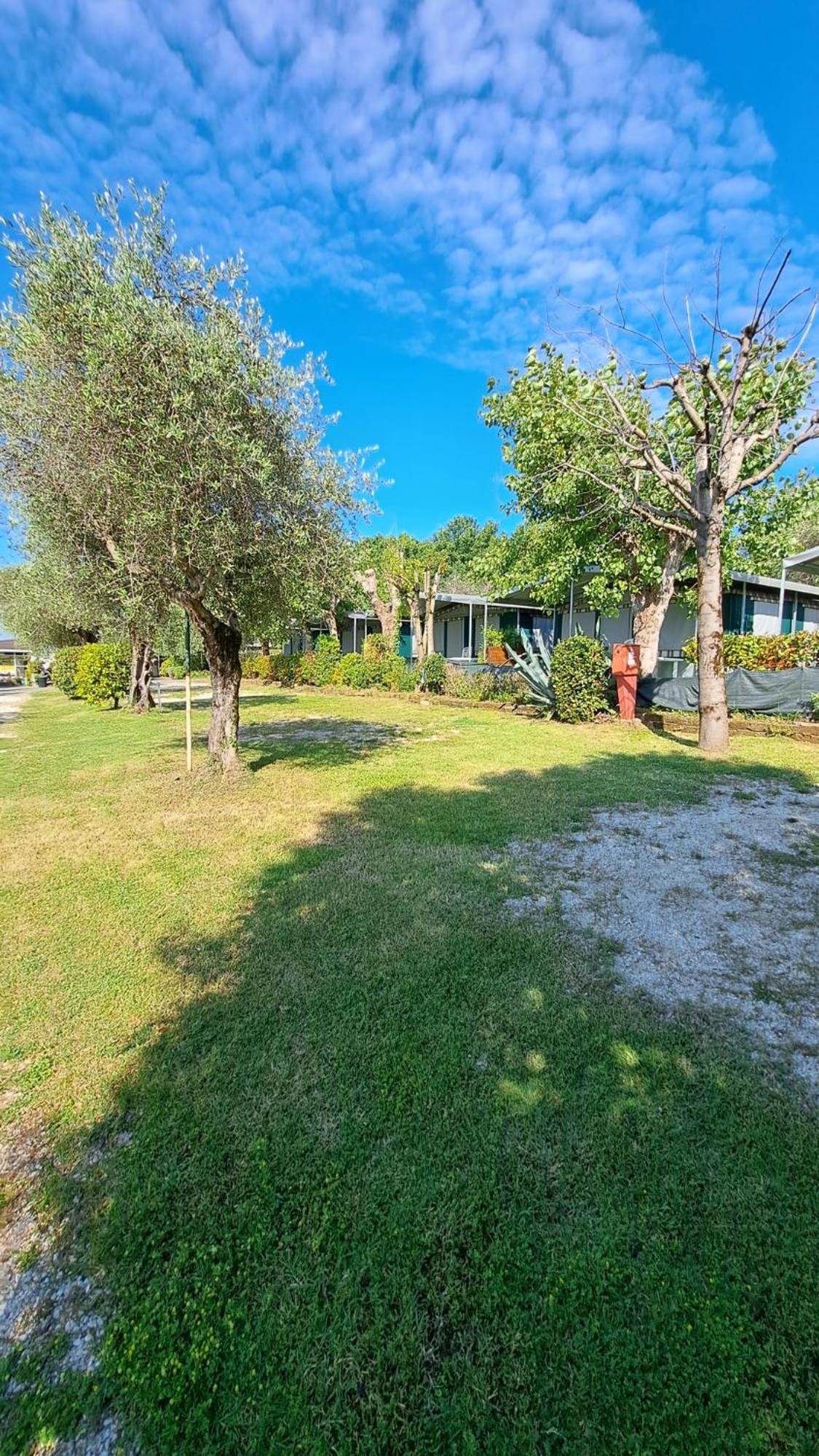 Camping Porto Srl Moniga del Garda Eksteriør billede